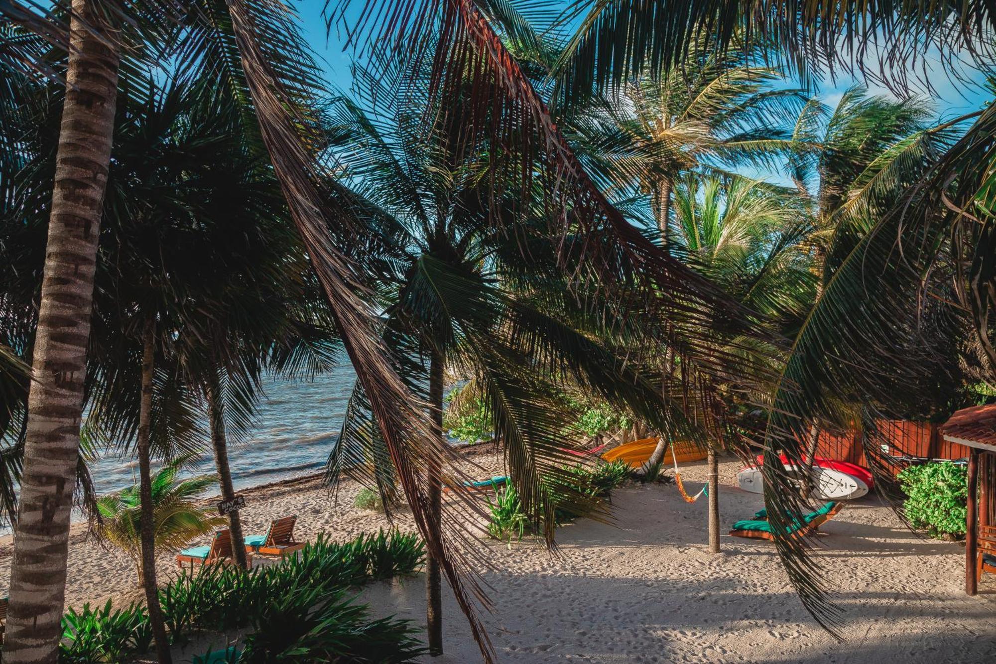 Casa Colibri Tankah Bed & Breakfast Tulum Exterior photo