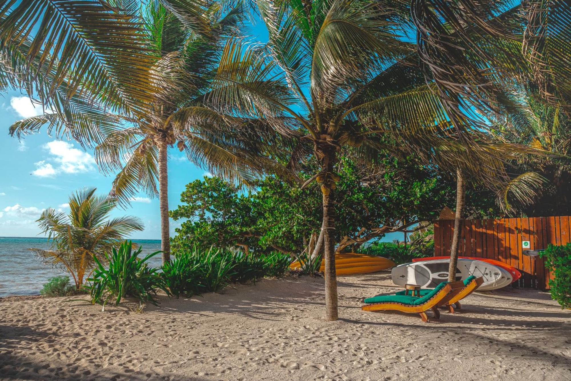 Casa Colibri Tankah Bed & Breakfast Tulum Exterior photo
