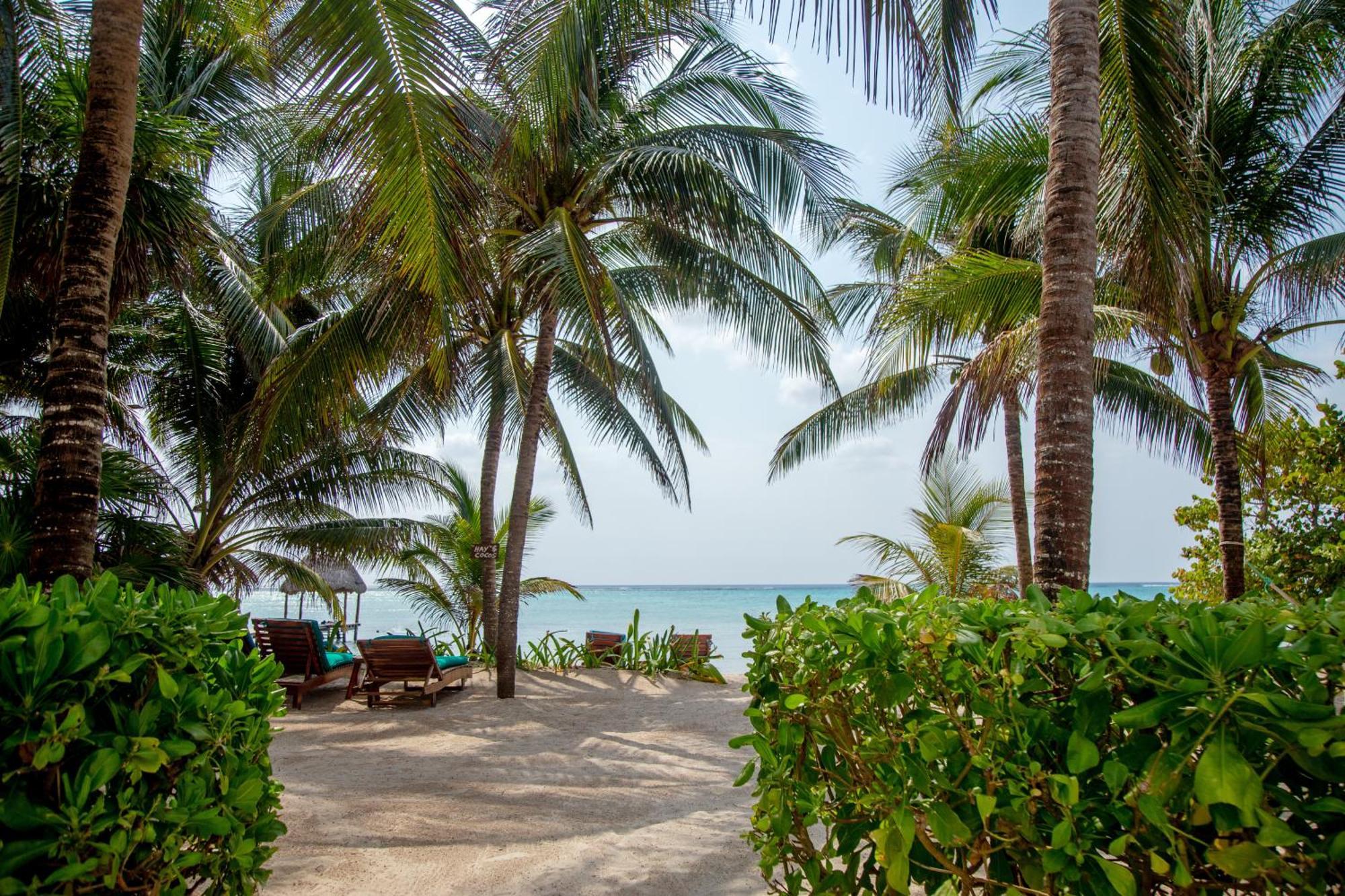 Casa Colibri Tankah Bed & Breakfast Tulum Exterior photo