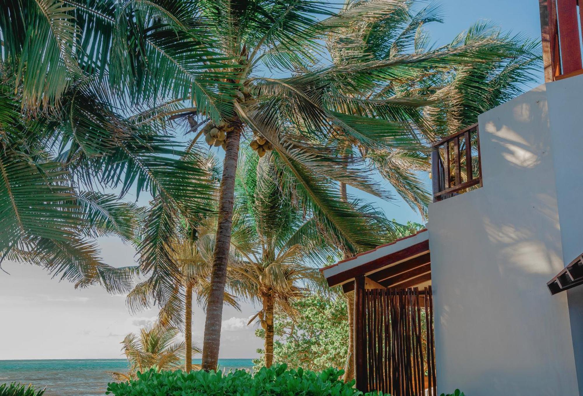 Casa Colibri Tankah Bed & Breakfast Tulum Exterior photo
